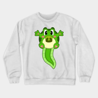 Frog Baby Pacifier Crewneck Sweatshirt